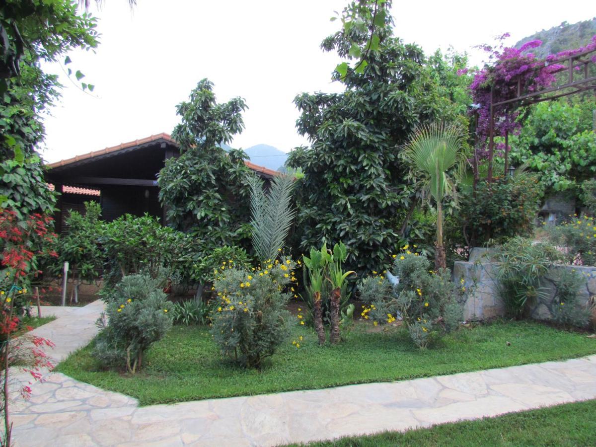 Cinderella Pension & Bungalow Çıralı Exterior foto